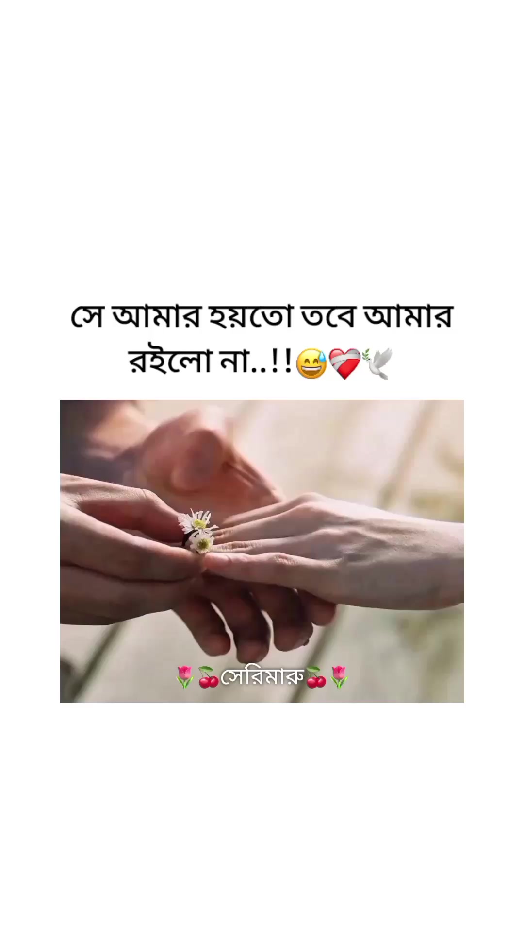 @🌷🍒সেরিমারু🍒🌷