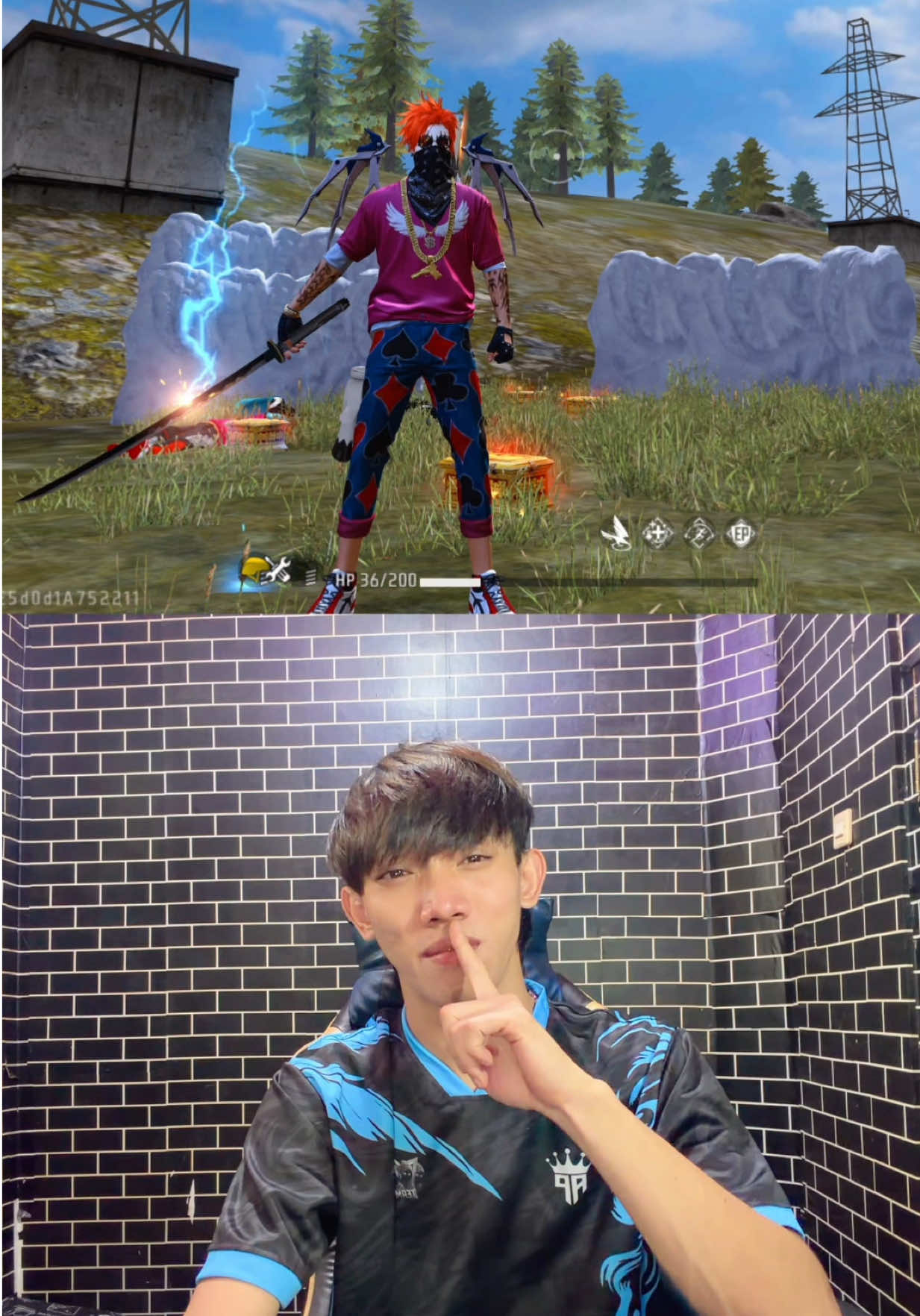 @ZARR