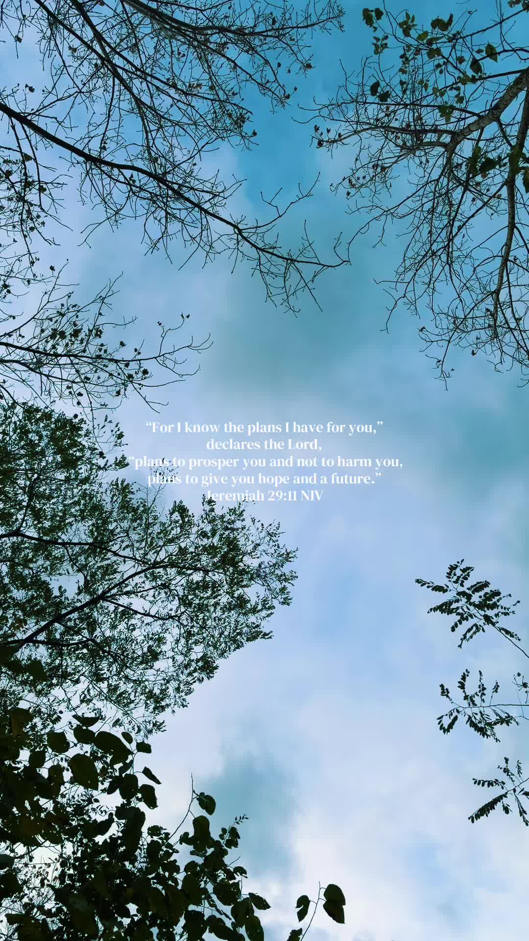 @faith2feed