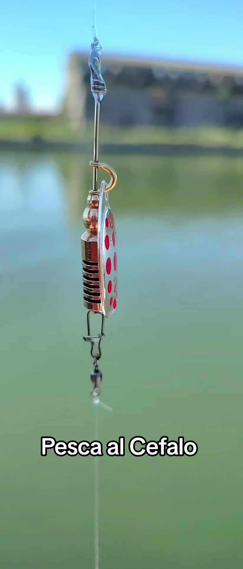 @🎣 maurizio 🇮🇹