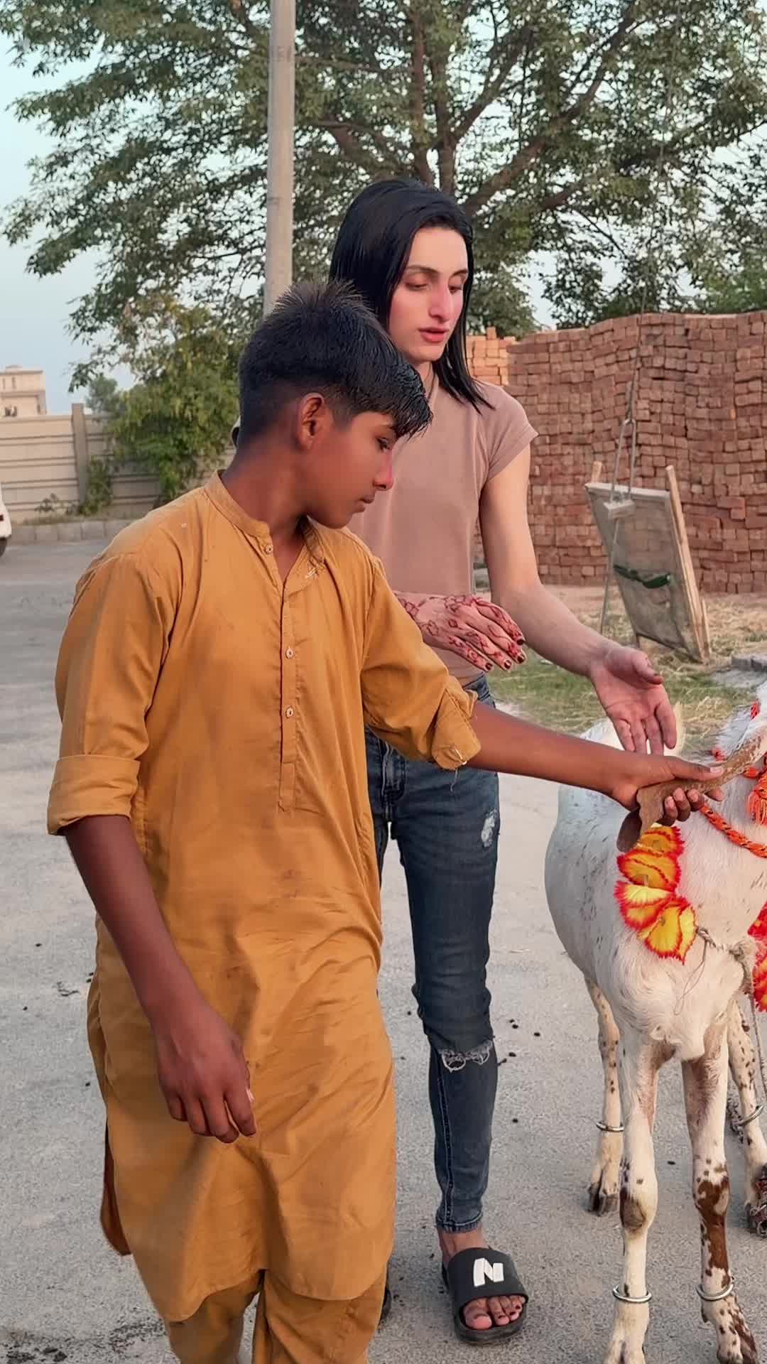 @Hunainbajwa1