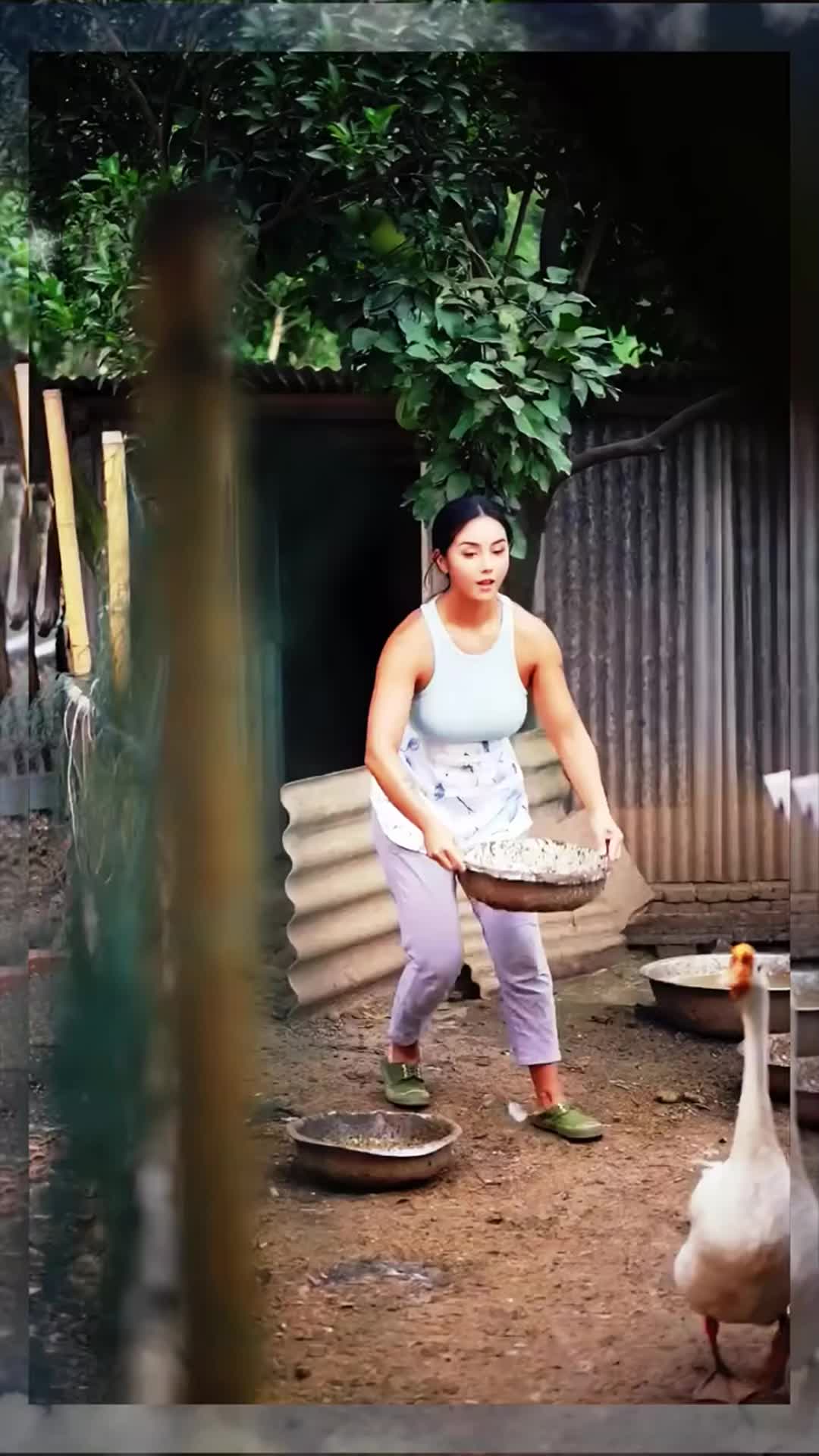 @DISCOVERY.6699