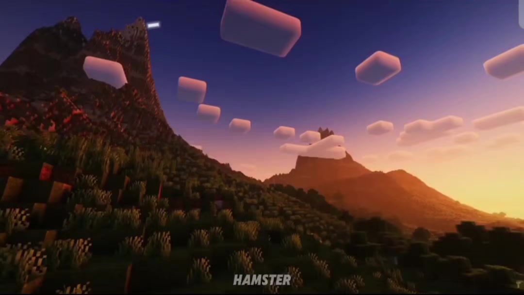 @big#hamster1