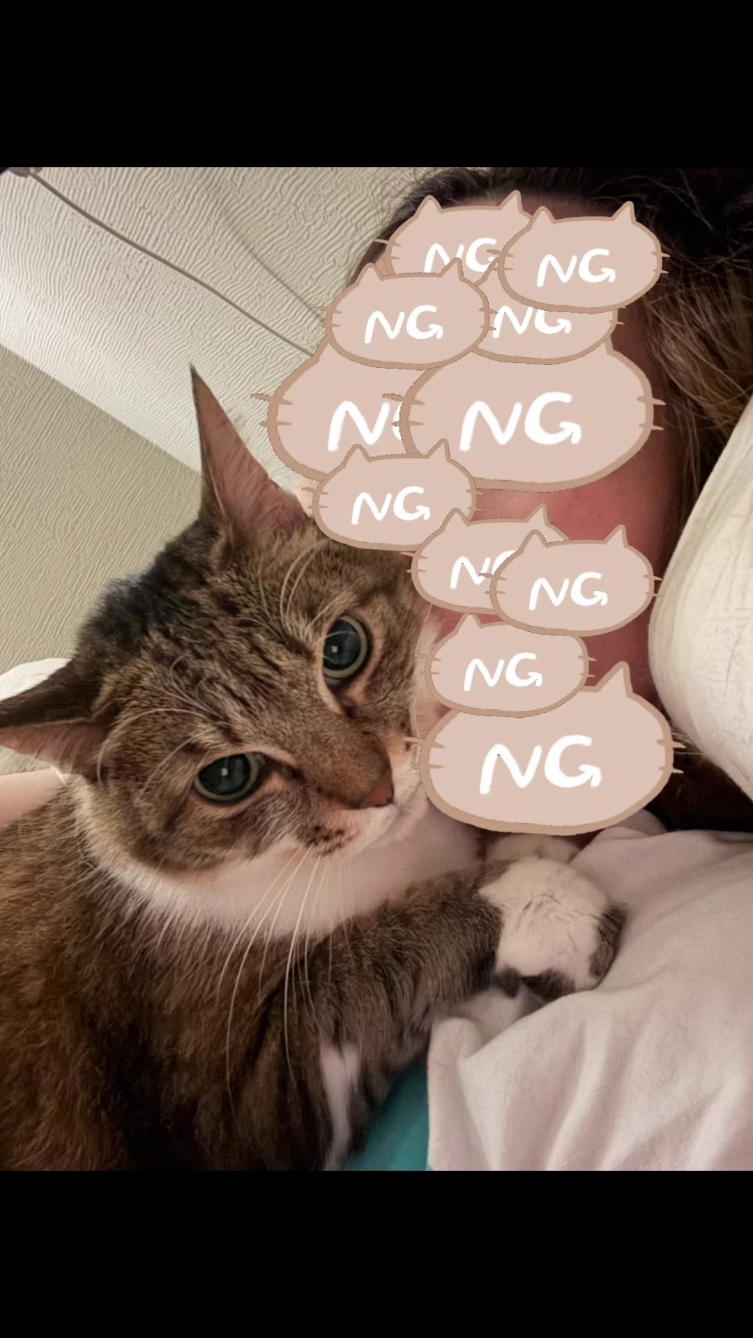 @ねこぷにもふ｜ホワイトシェパードのハクちゃん