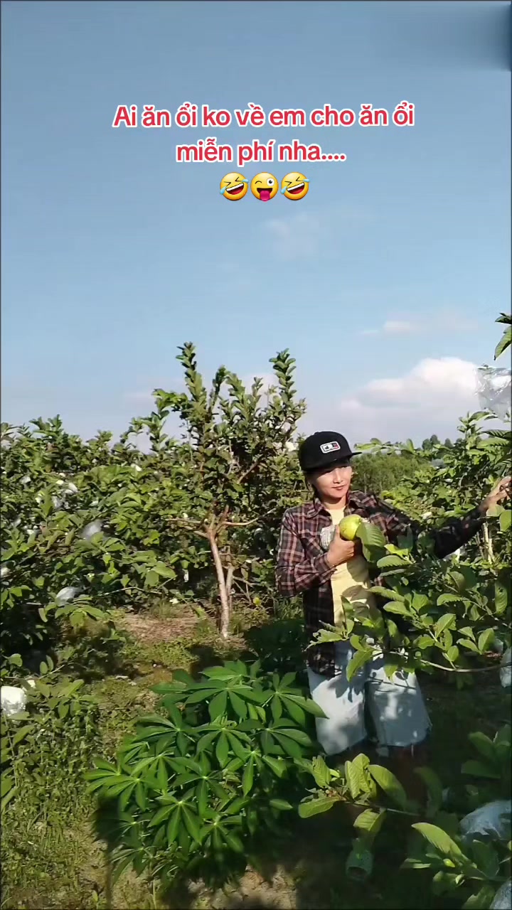 @MỘT ĐỜI AN NHIÊN(Đại Lâm Mộc)