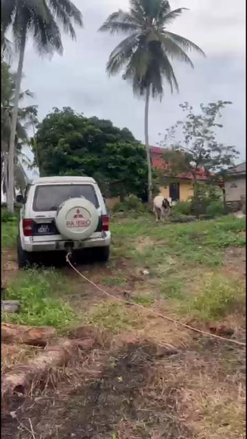 @Mizan iSejahtera
