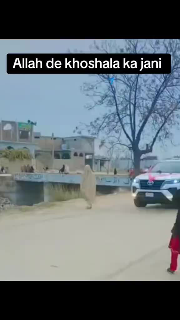 @Waqar Khan yousafzai .