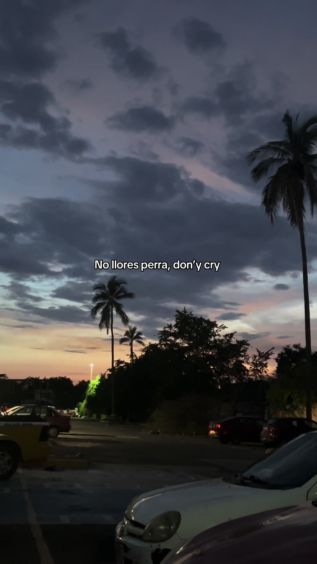 @Lely 🍒💗