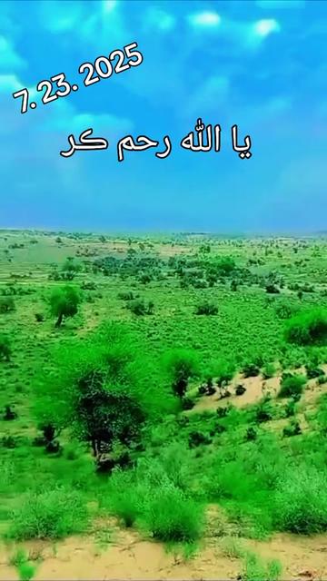 @Alihamed78