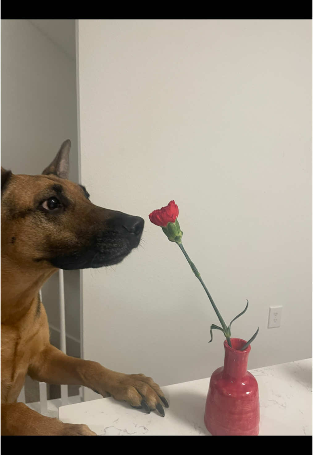 @Robyn🐕Blackberry