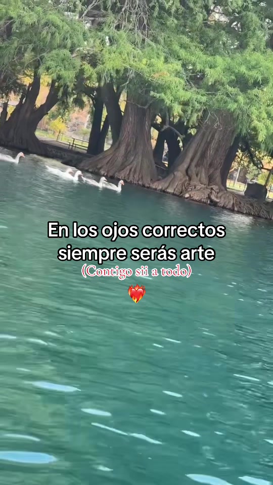 @Vicky