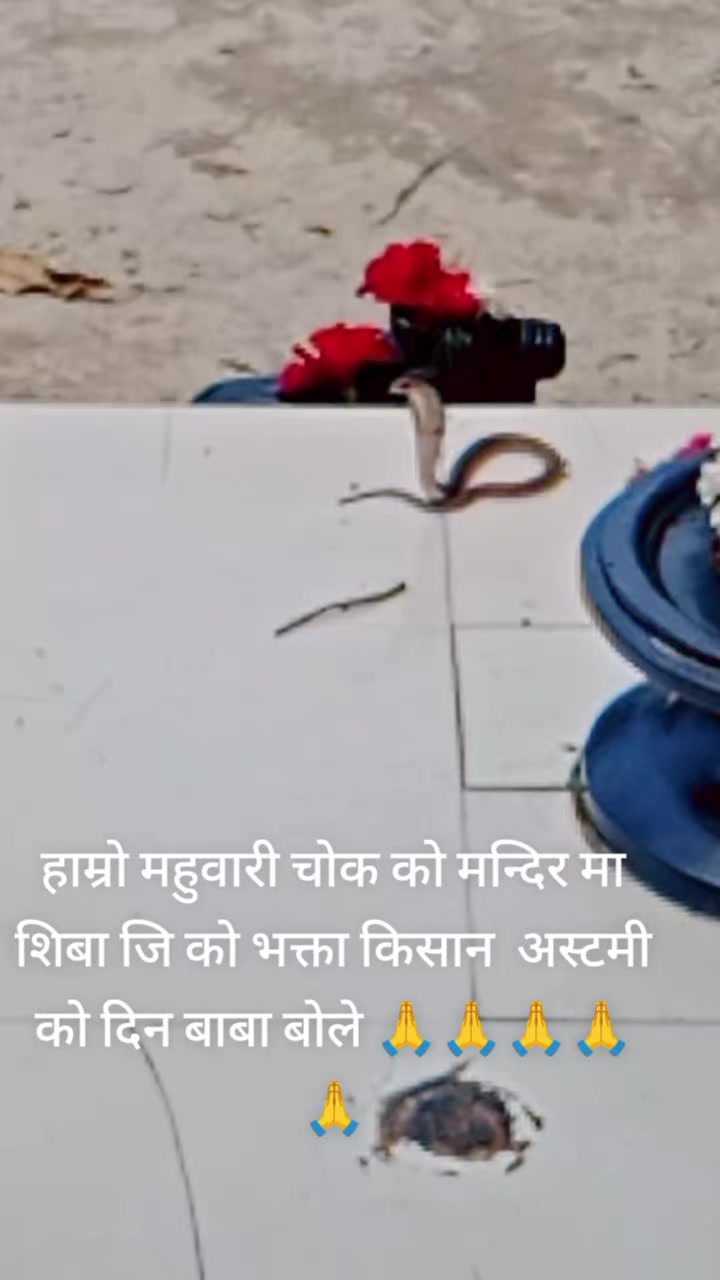 @Shanti Chaudhary