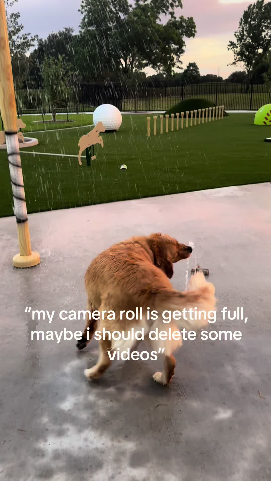 @ellie.land