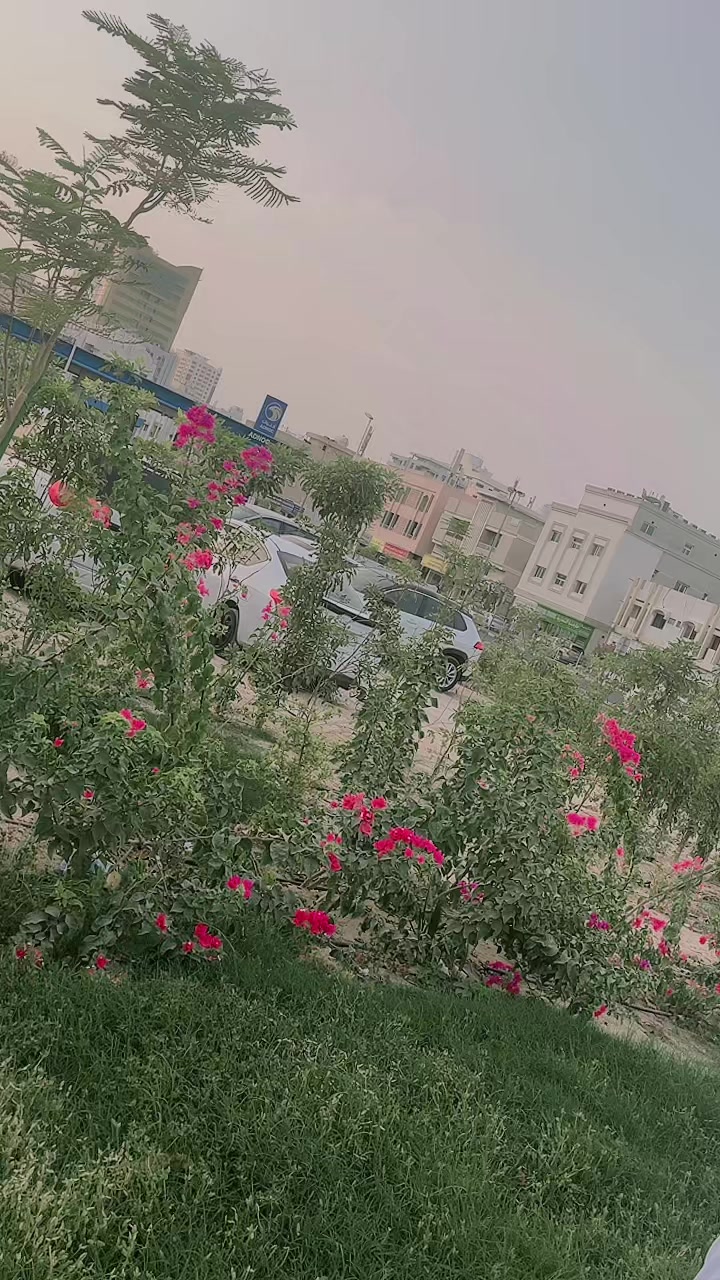 @قلم حان