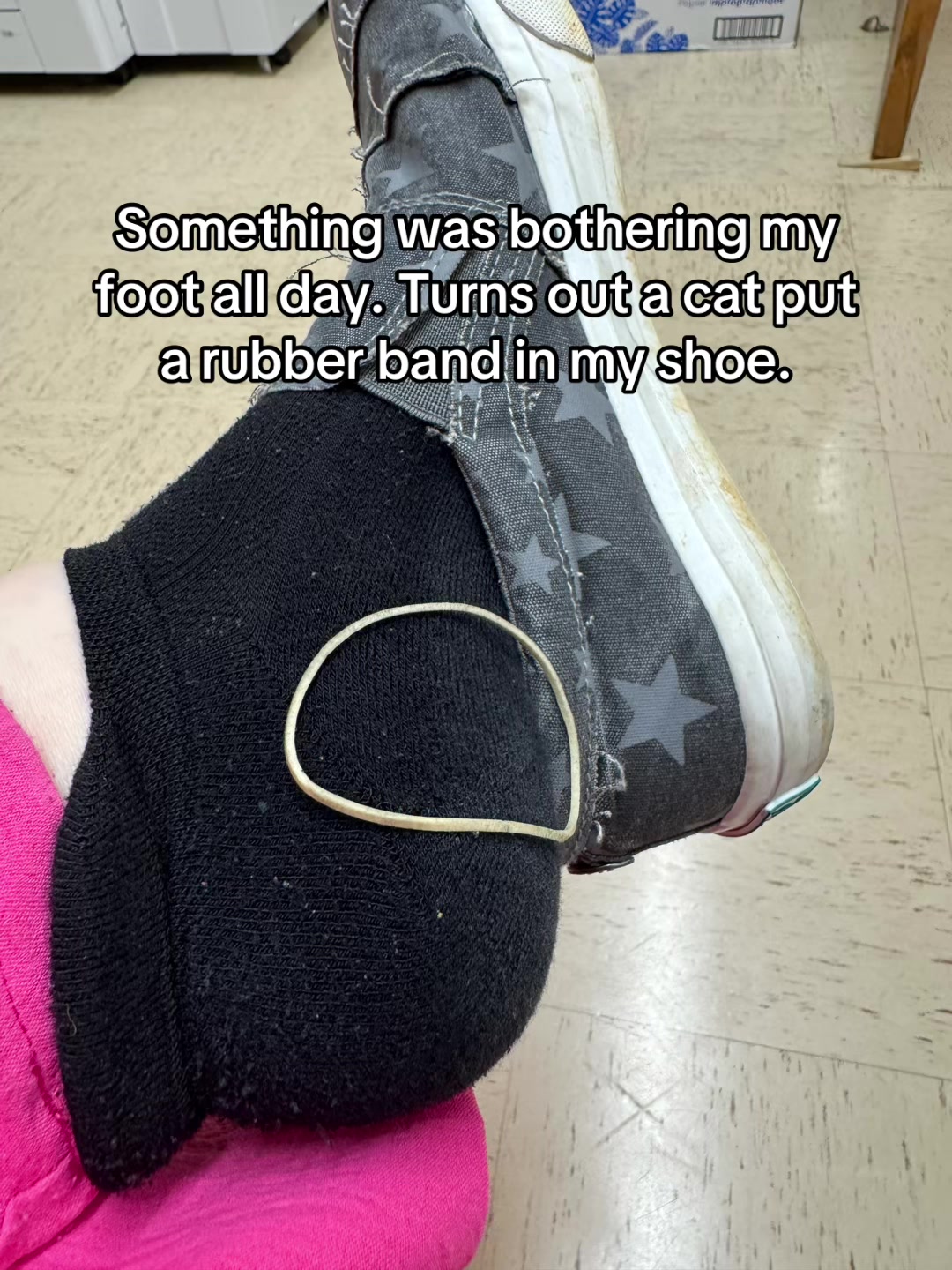 @notmydaughtersbias