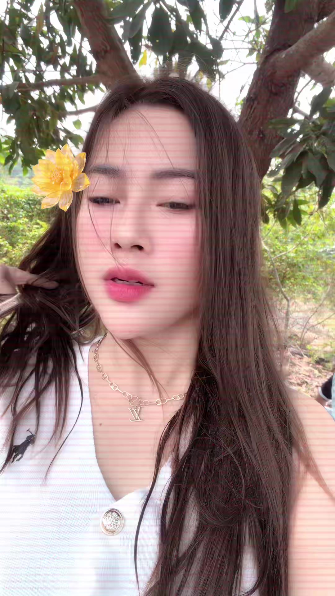 @ini Cicikku🍭