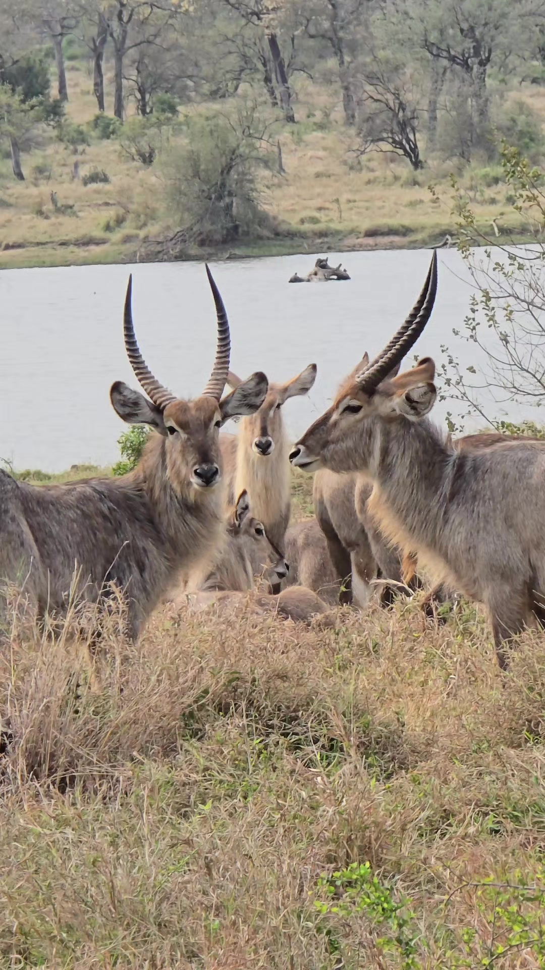 @KPS Safaris and Tours