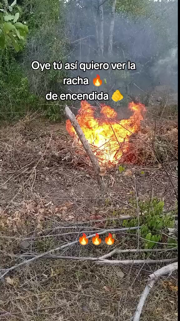 @Sebastián 74