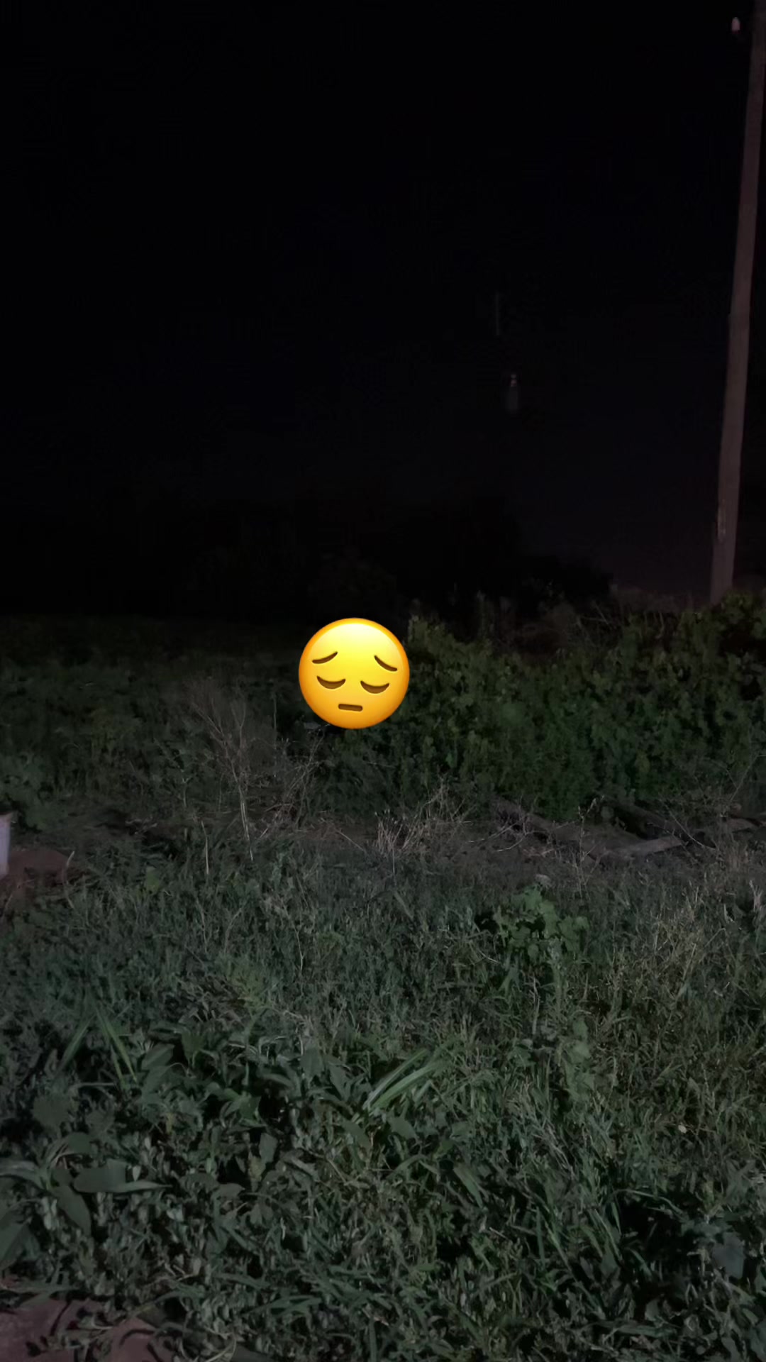 @&ccedil;i&ccedil;ek&hearts;️