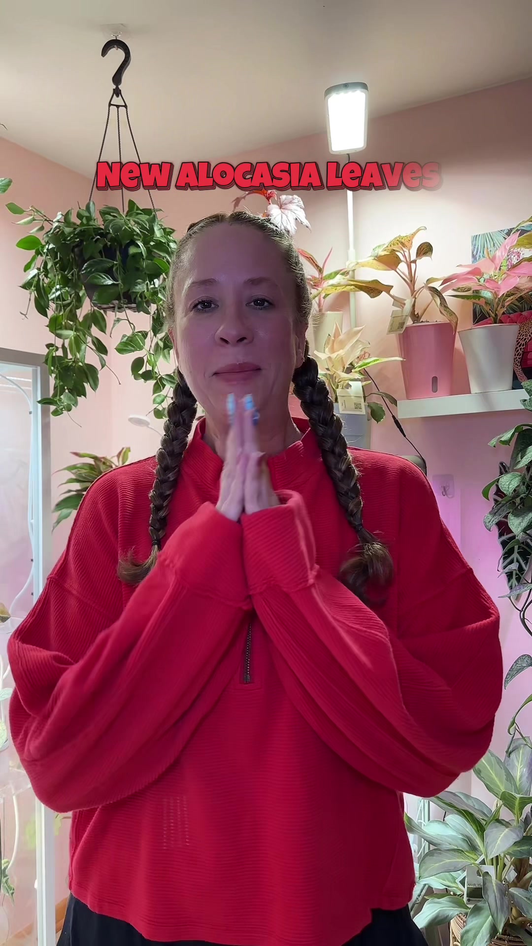 @Erin Keys - TheBoujeeGreenhous
