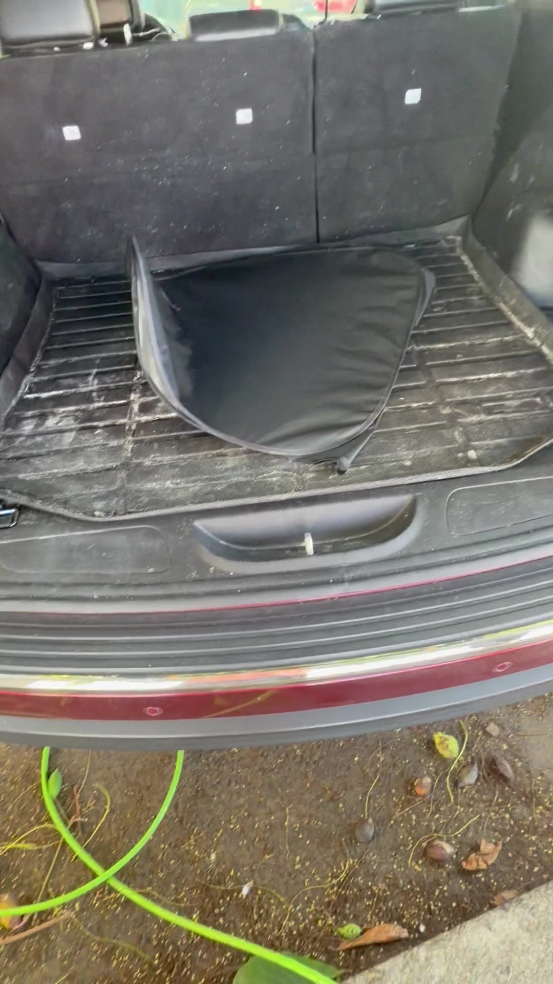 @wipeoutdetailing