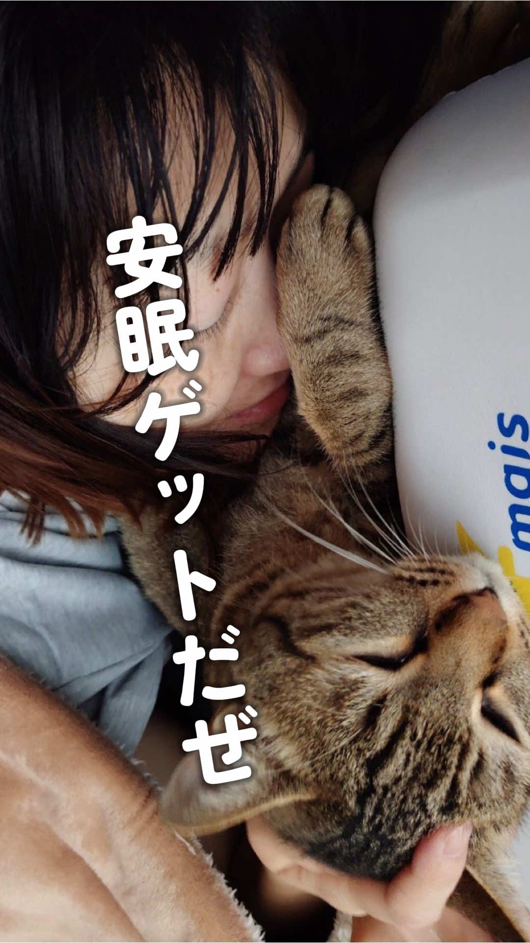 @ひかるマミー🎀山田さんちは猫まみれ