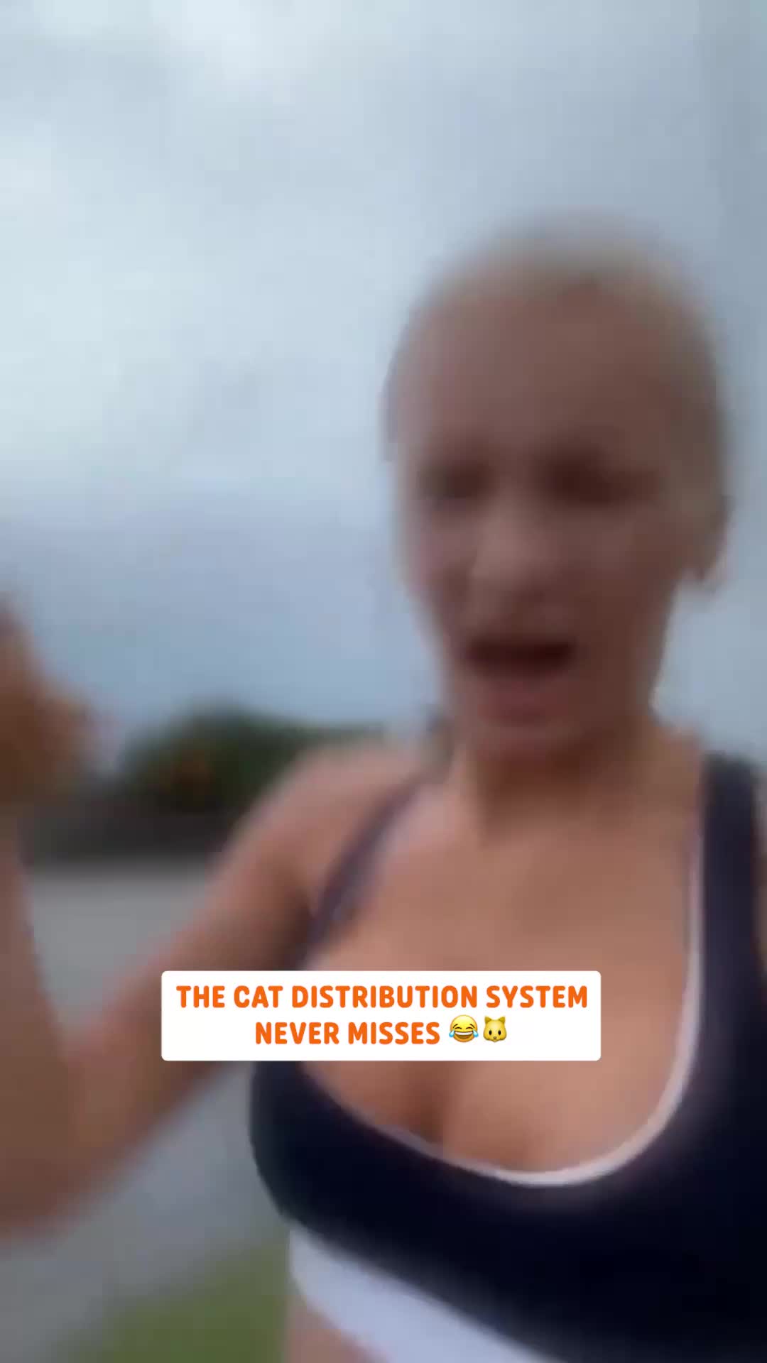 @Pawsome Pets