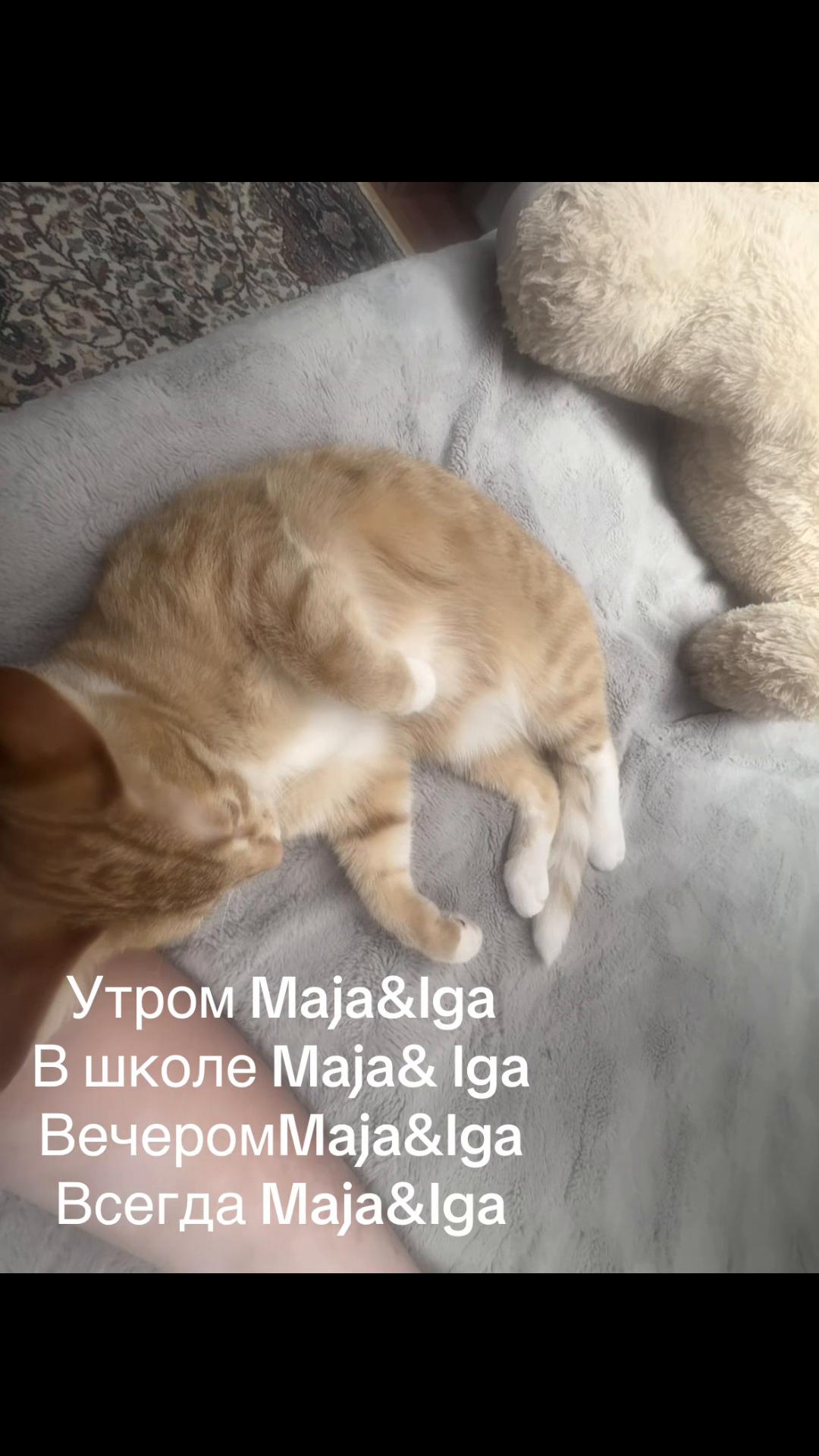 @Ksuwa_🇩🇪🇺🇦