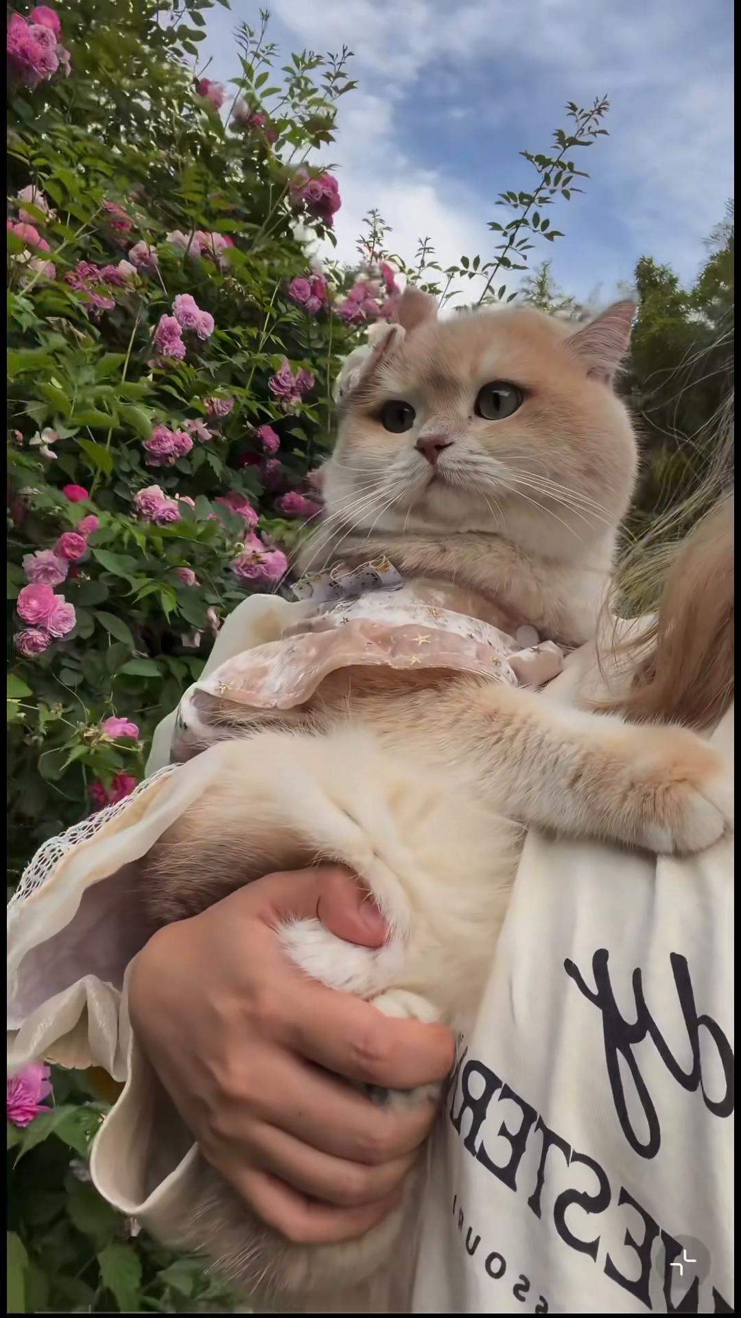 @My Daily Dose of Aww