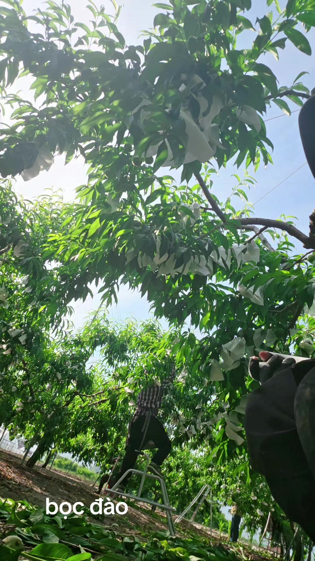 @cố quên tắt cả