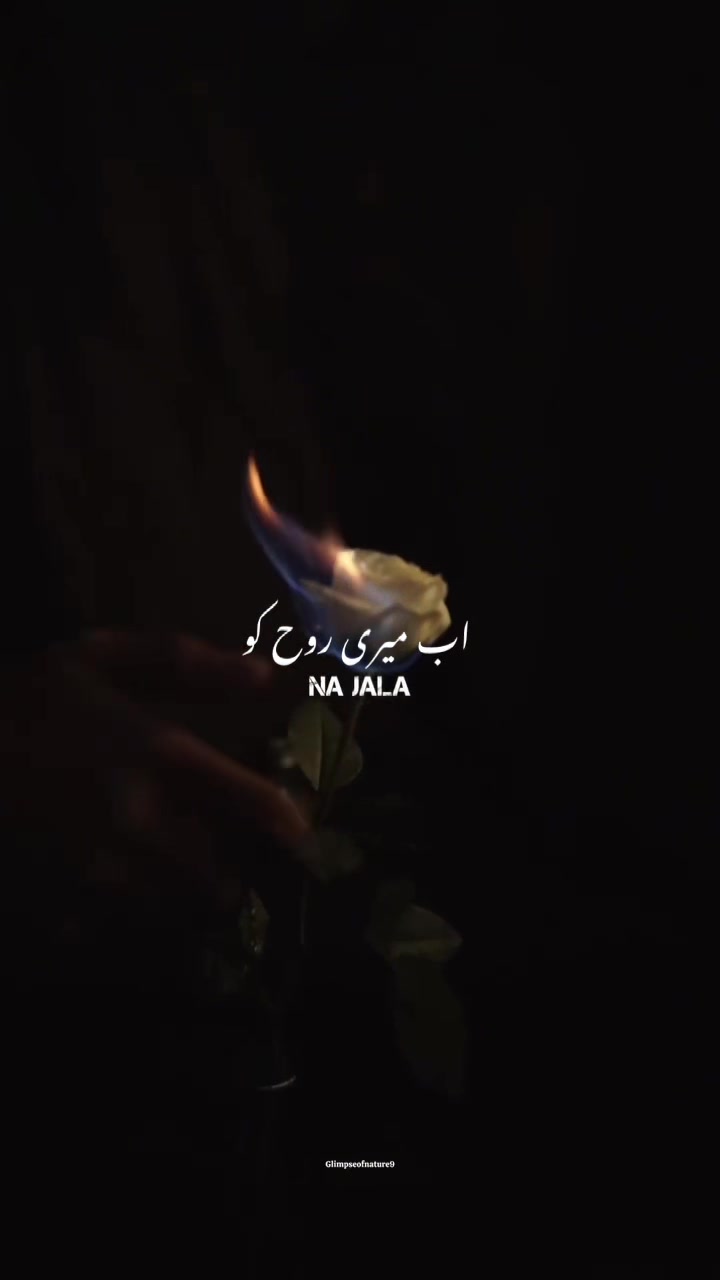 @Amna Mir❥