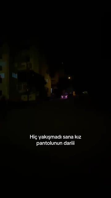 @aysegulldemiray_