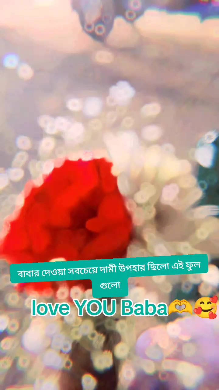 @Rusha Roy🥰