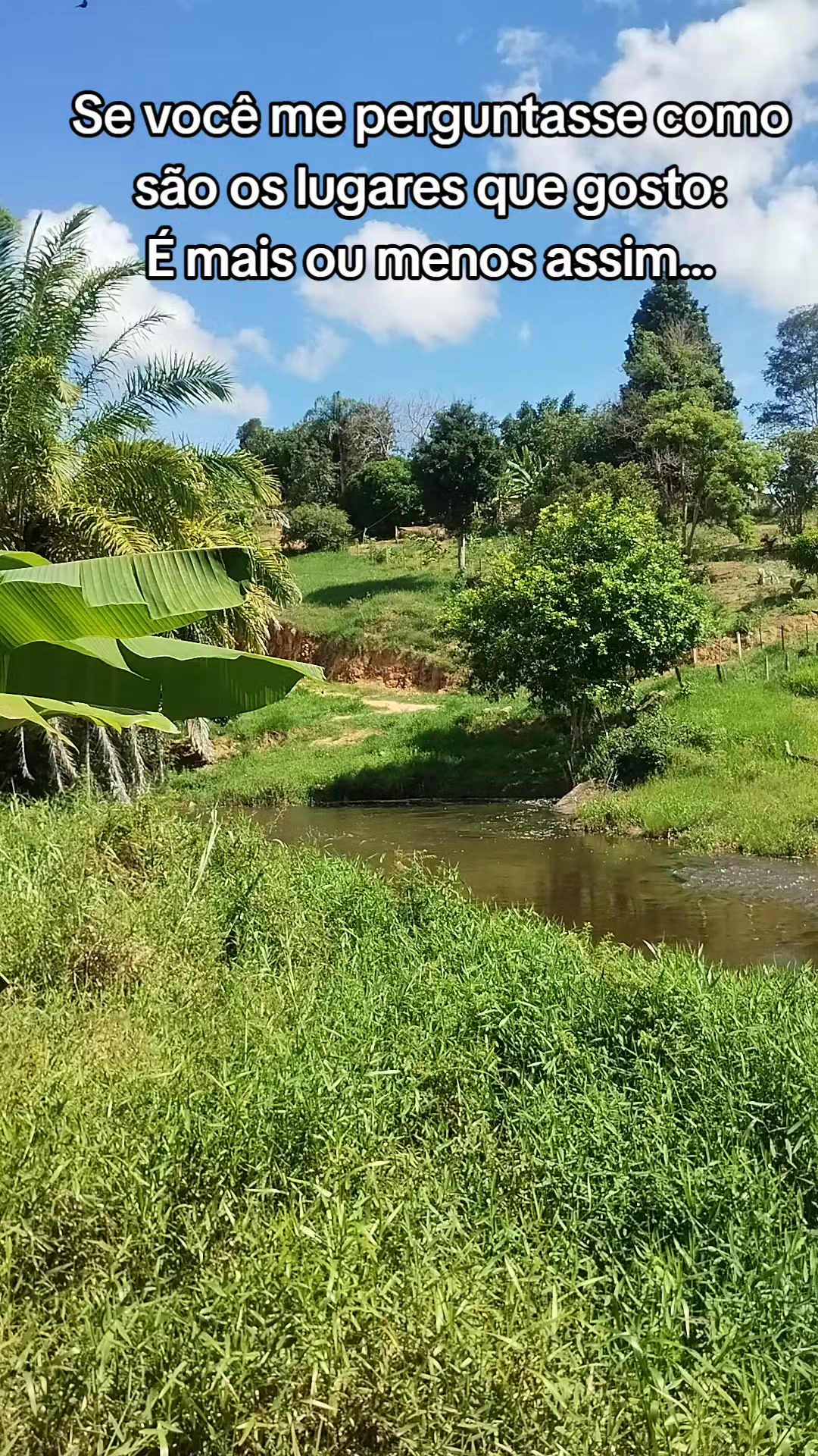 @Roça 🤠🌱