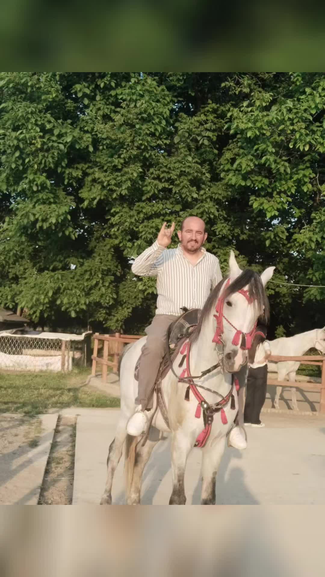 @Erkut Polat