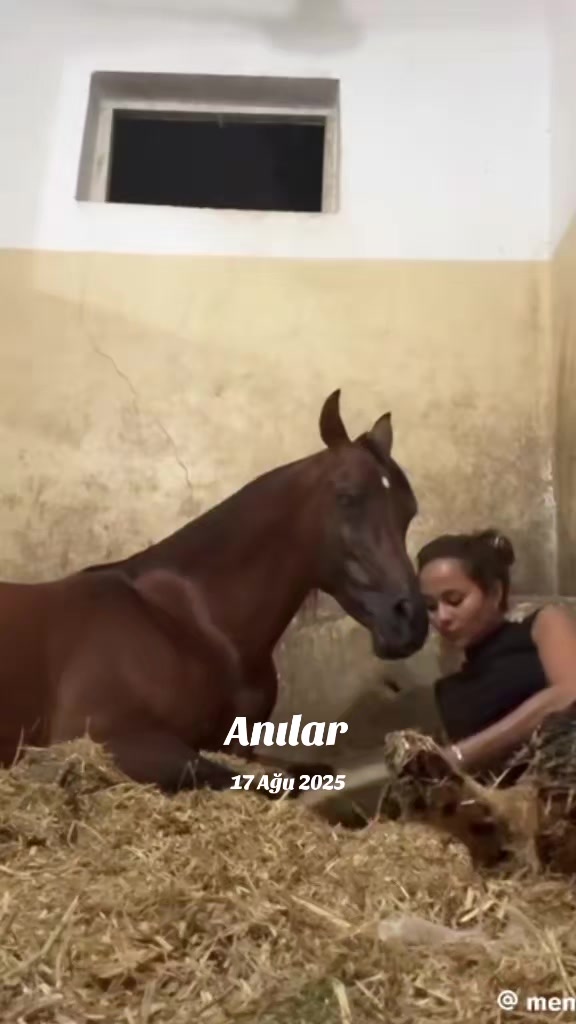 @Hayatsevgi