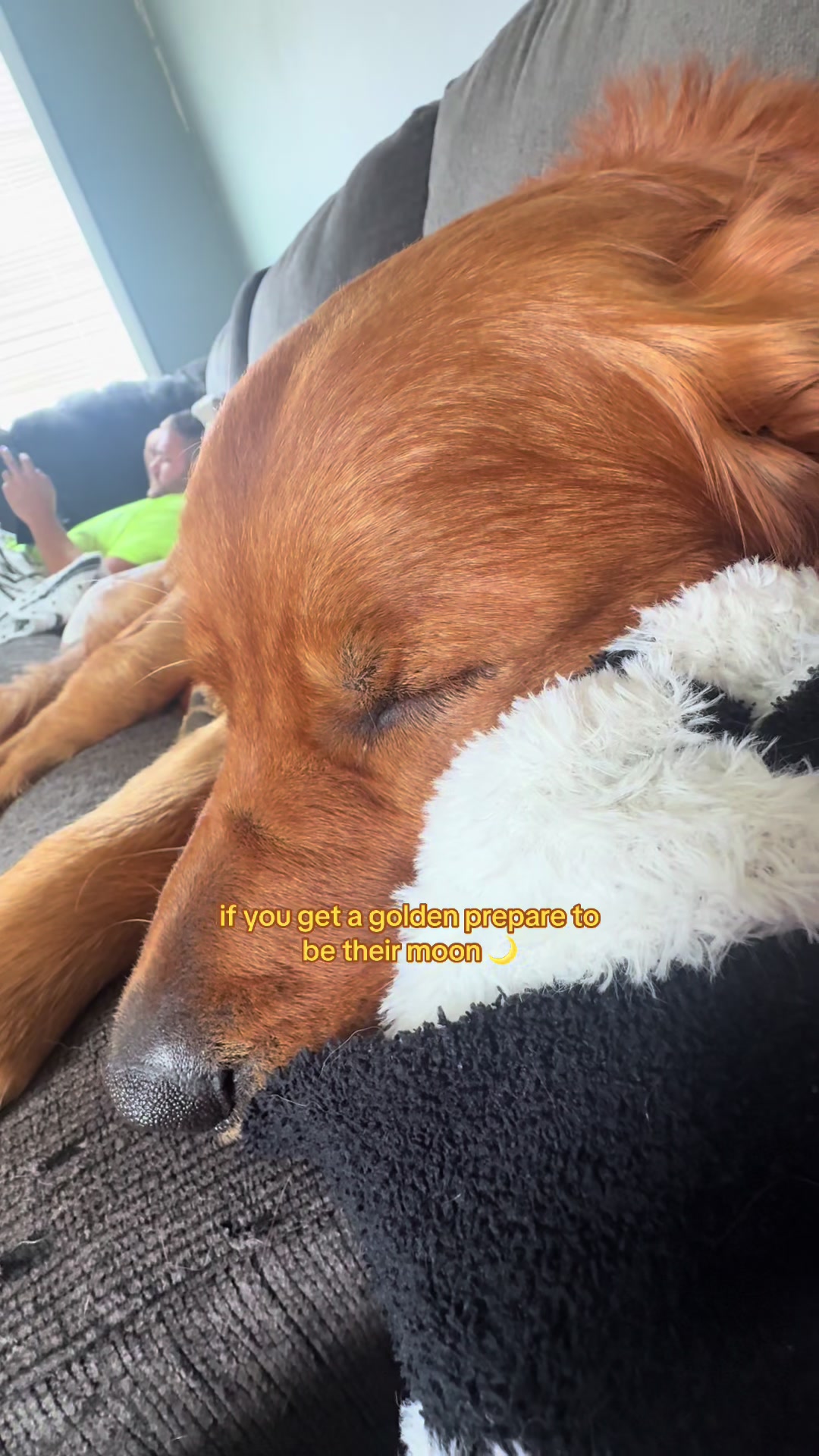 @Mariah | golden fur mom +wifey