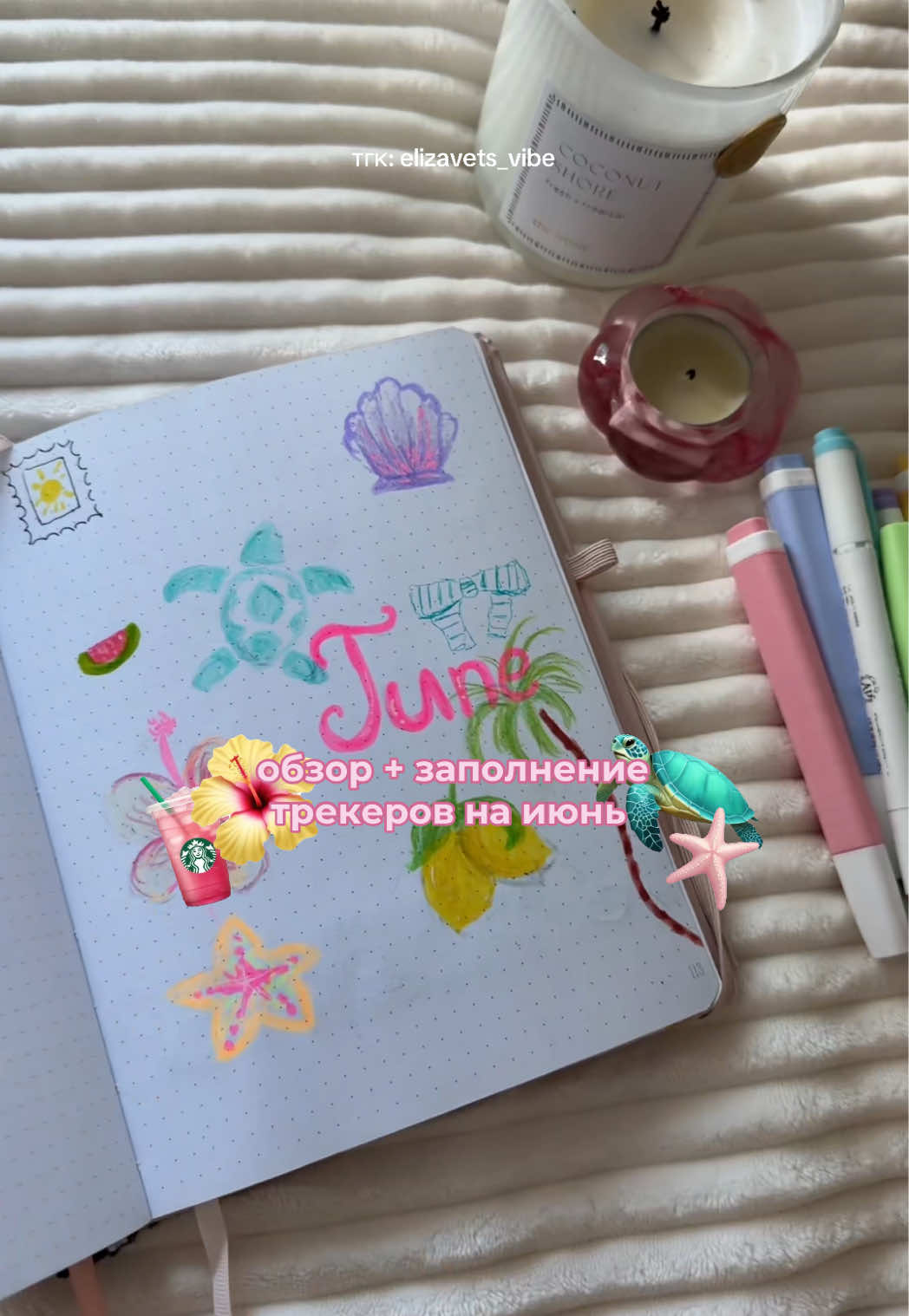 @𝒆𝒍𝒊𝒛𝒂𝒗𝒆𝒕𝒔 ୨ৎ