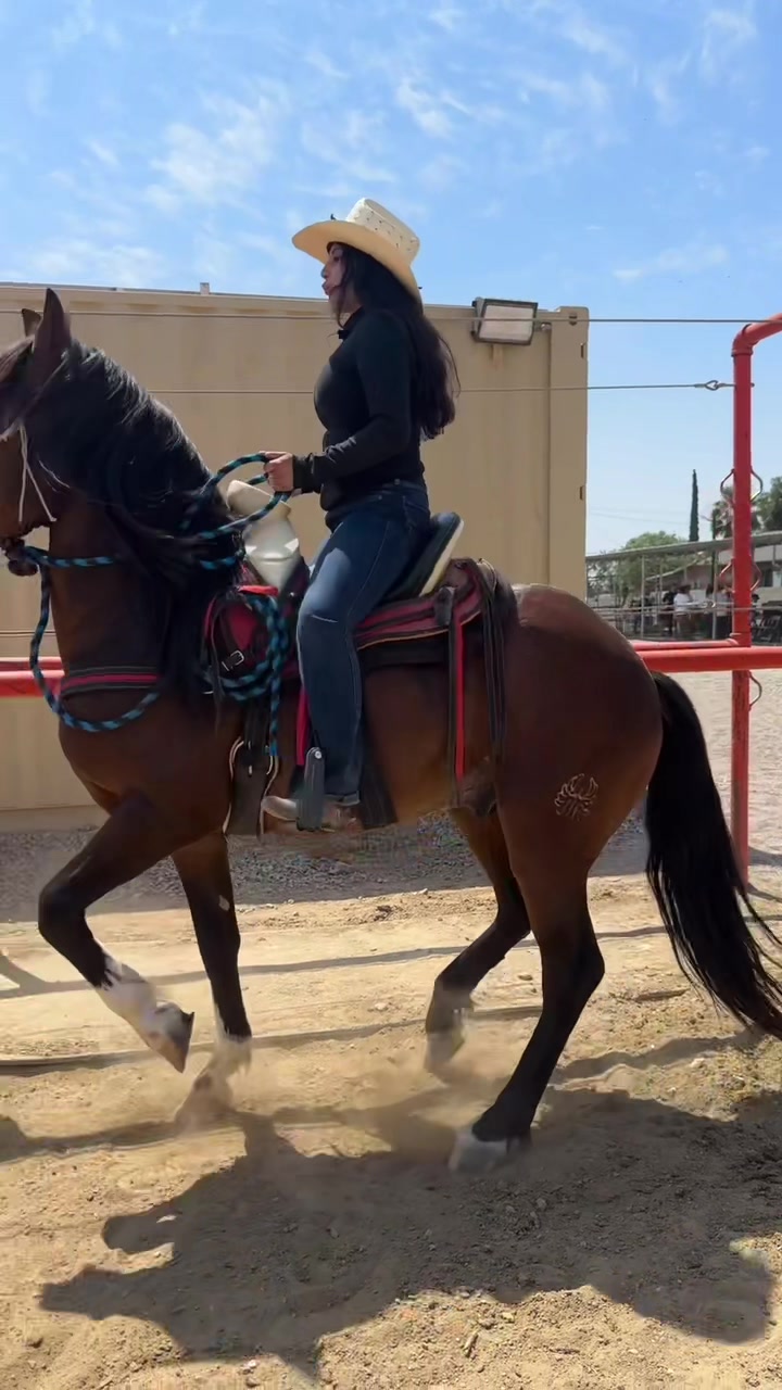 @anissadeacaballo