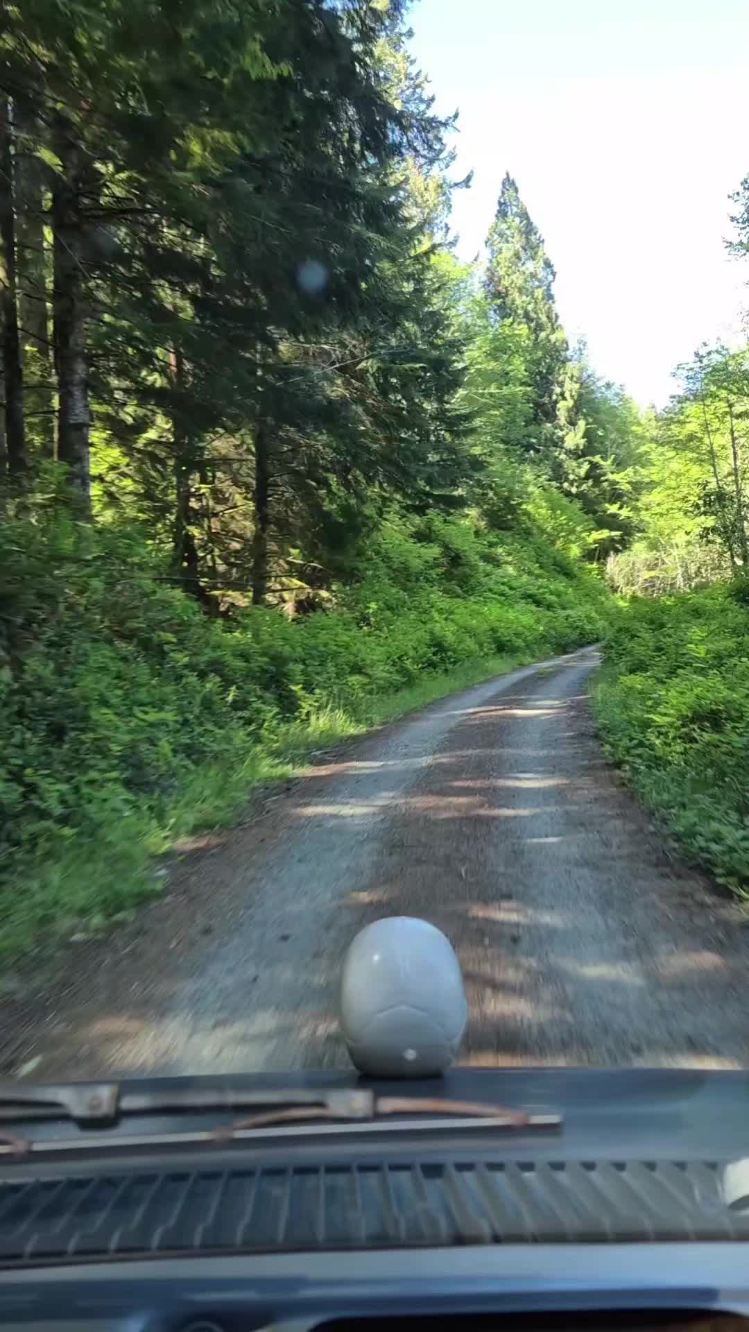 @TesticleezOfTroy