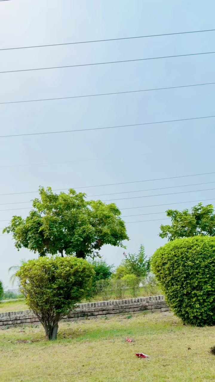 @Ijaz Afridi