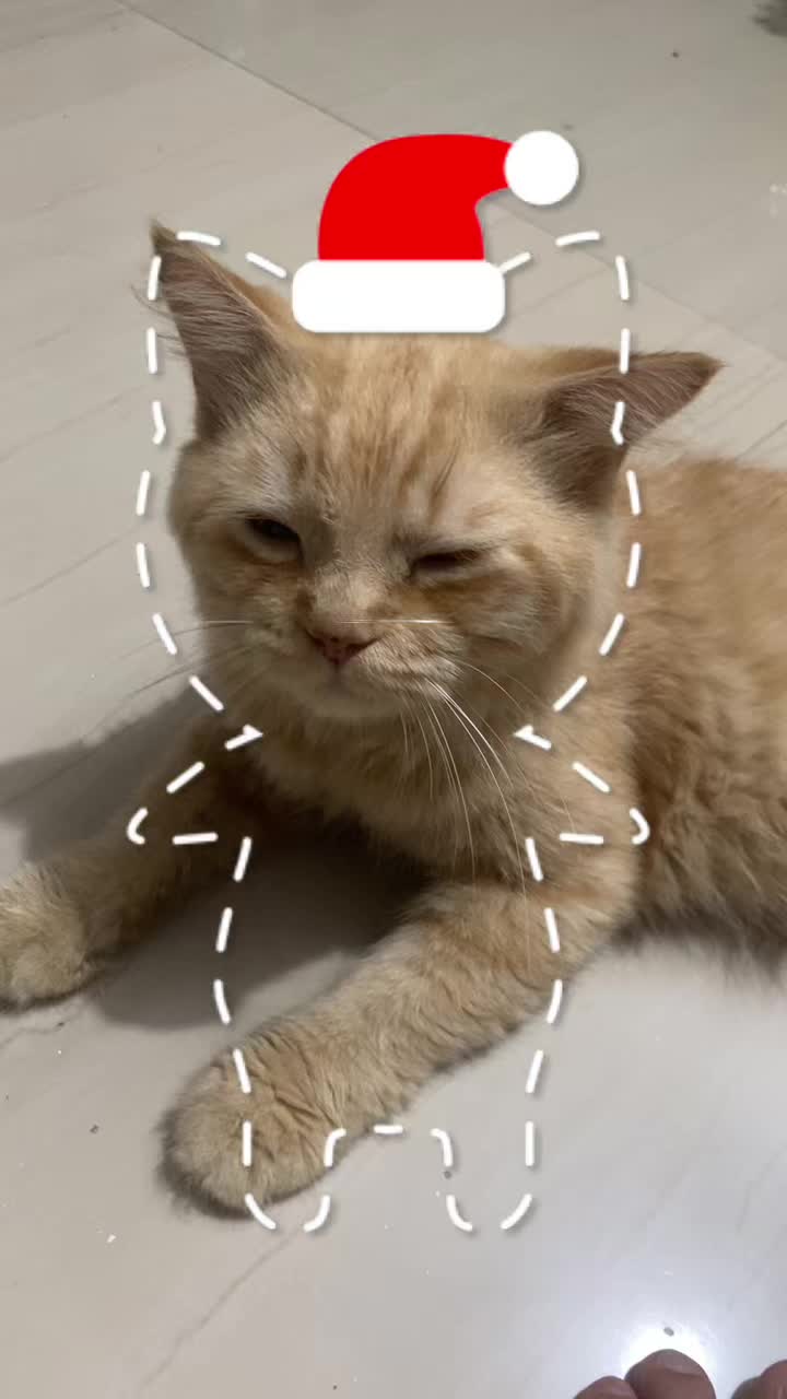 @jejejejejejejeje