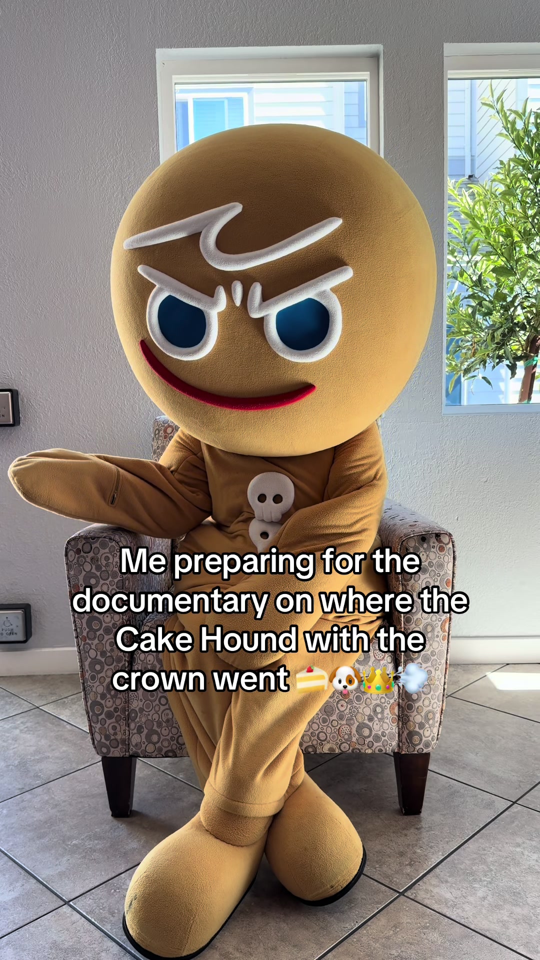 @CookieRun