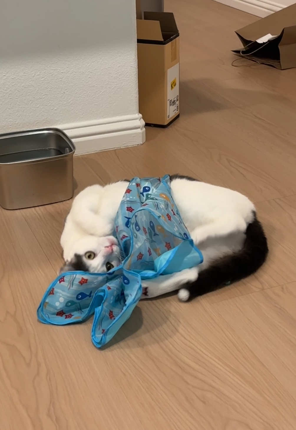 @Mimi Wawa Meow