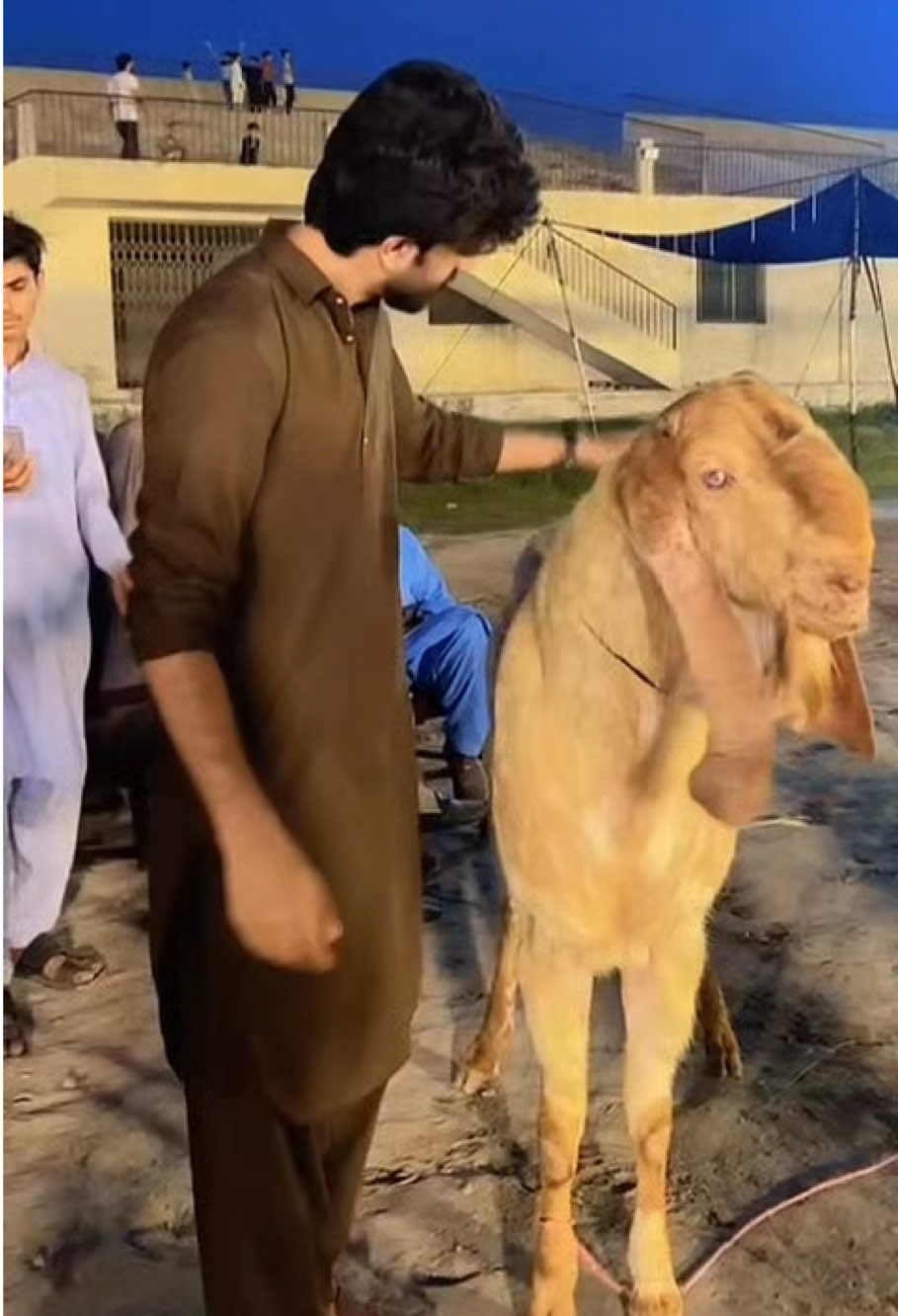 @احمد شیخ.✨🕊️