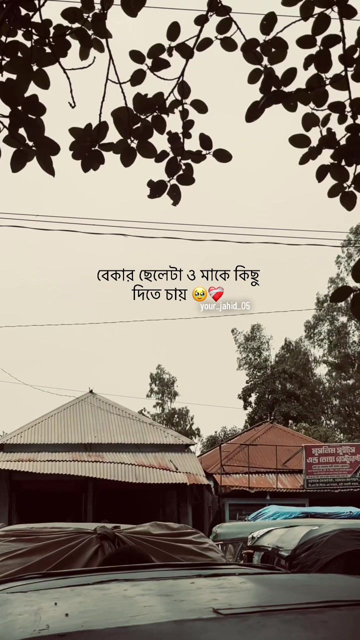 @ᴢꫝʜɪᴅ ••••••
