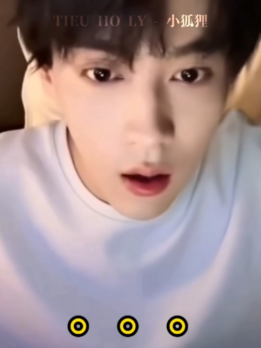 @Tiểu Hồ Ly - 小狐狸