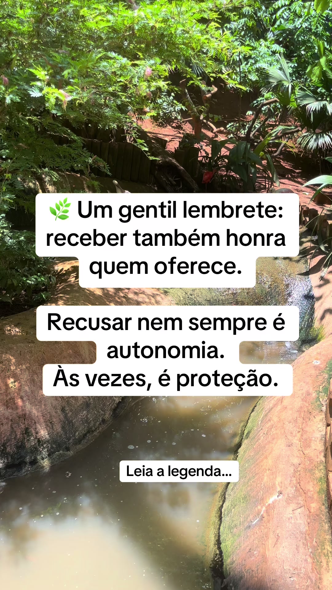 @Vanessa E. Santos | Terapeuta