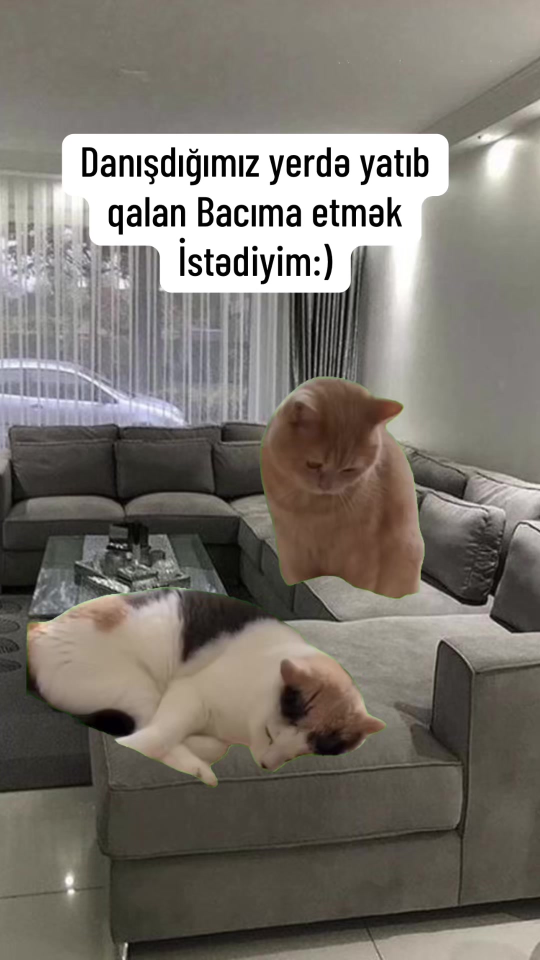 @♈️