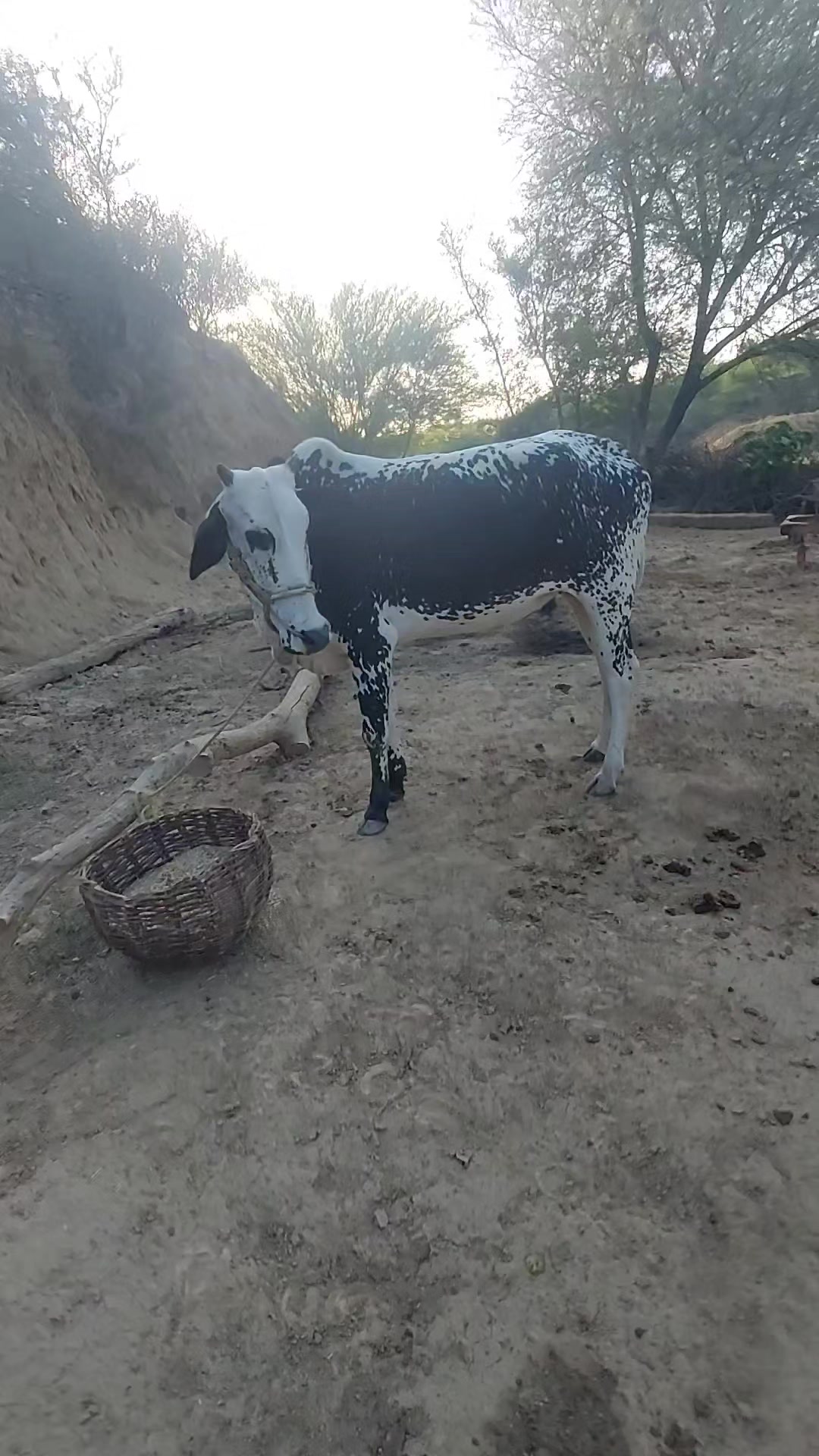@ðŠðª ðŸðððð ððð ð